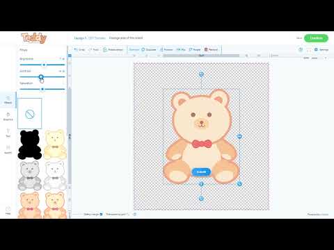 Teddy Digital Product Walkthrough